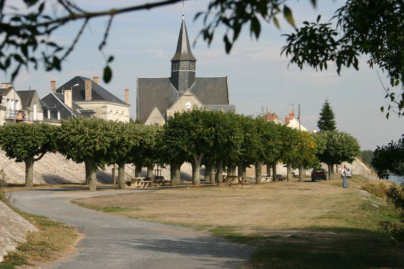 Camping municipal de La Chapelle sur Loire — photo 5